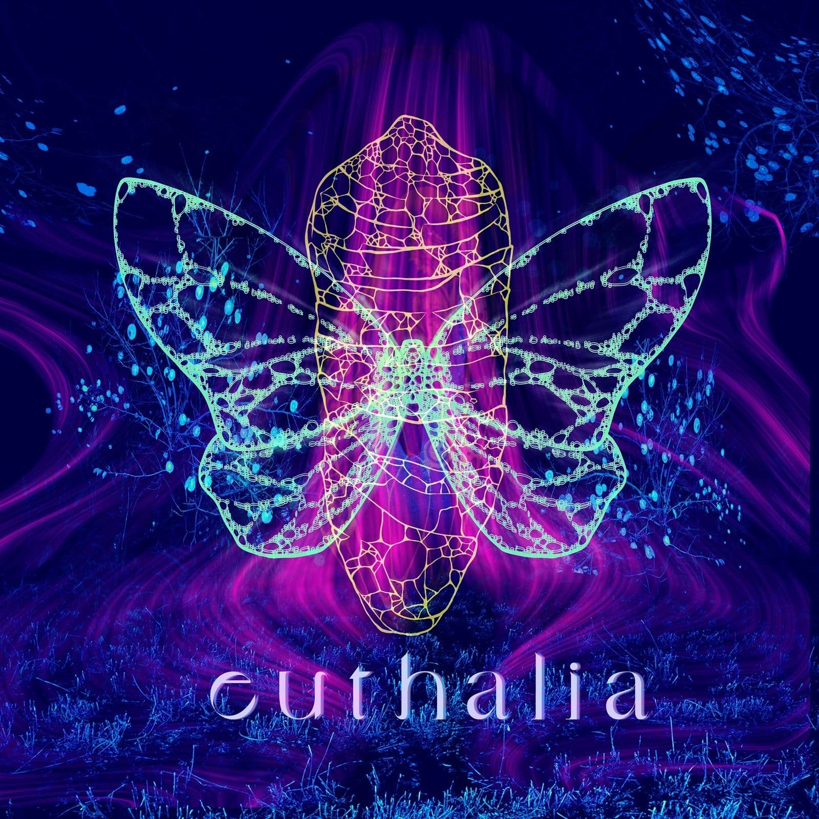The NHAT’21 key visual — a butterfly breaking out of its cocoon